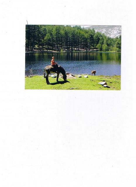 randonnée lac de Creno âne